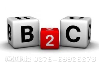 洛陽B2C網(wǎng)站開發(fā)
