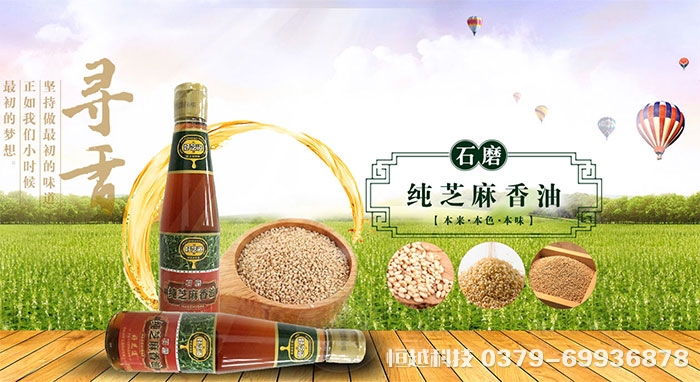 洛陽做網站