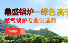 鼎盛鍋爐燃氣鍋爐專業制造商